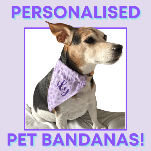 Personalised Pet Bandanas - main product image