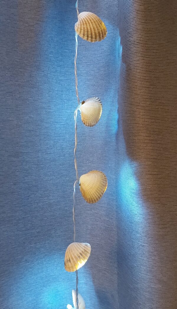 Beautiful Shell fairy lights - product image 3