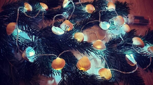 Beautiful Shell fairy lights - main product image