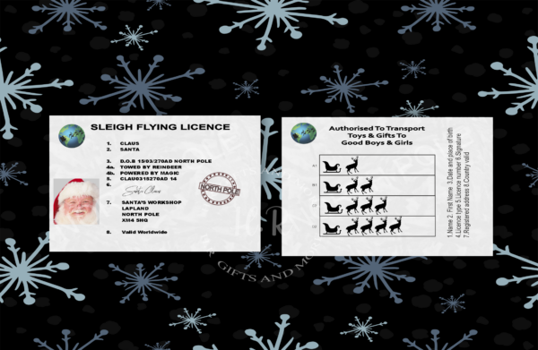 Santa Licence - main product image