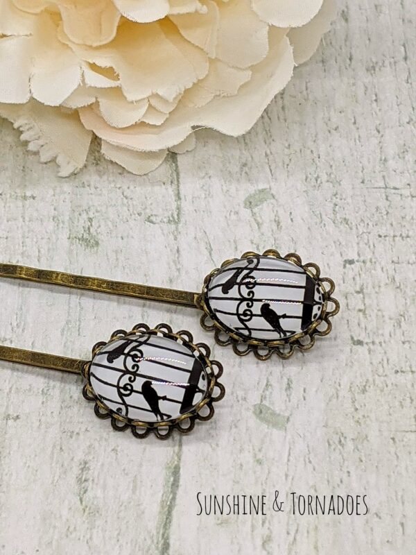 Steampunk Bird Cage Hair Grips - product image 3