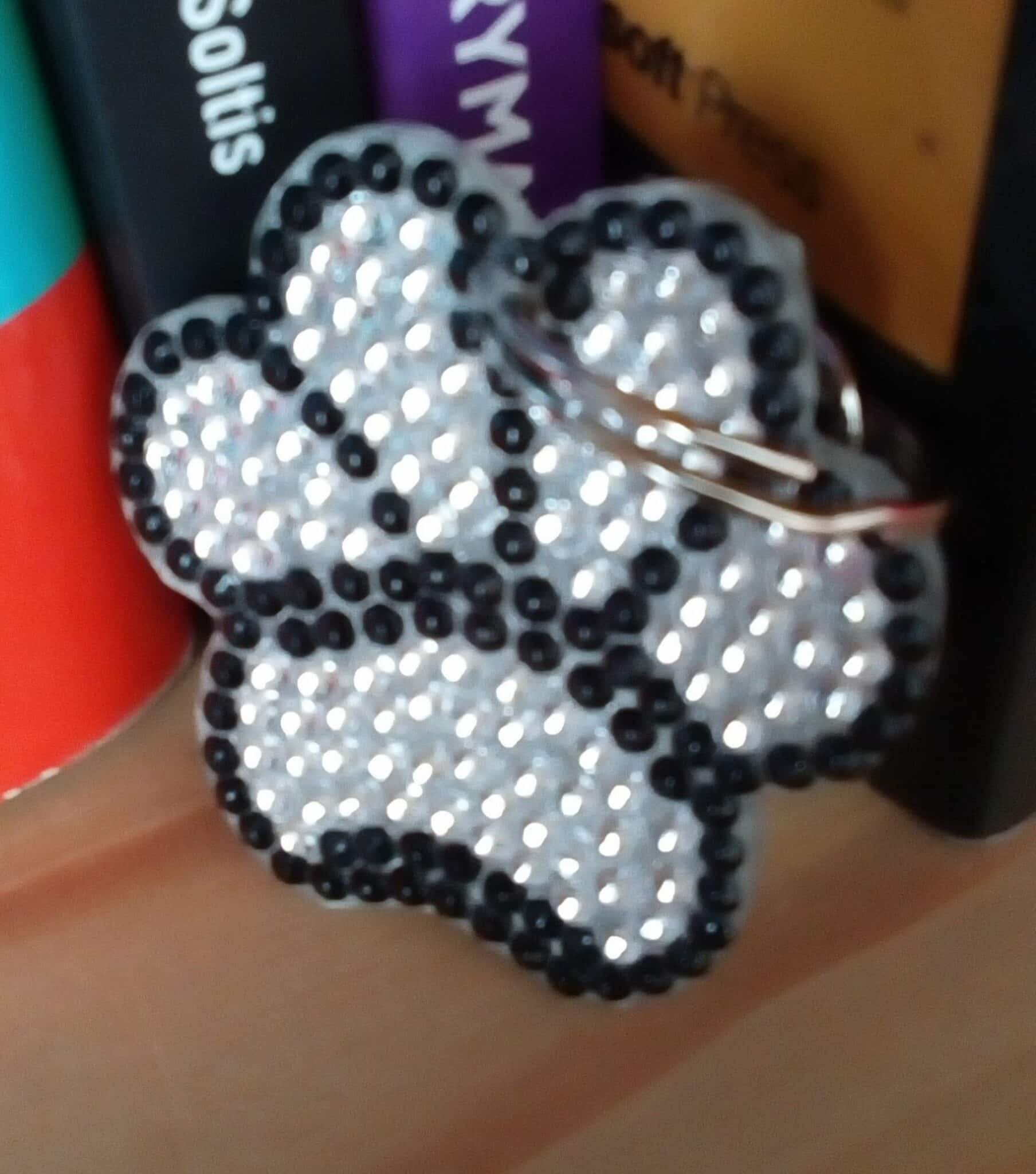 Paw Print Keyring, Paw Print Bag Charm, Animal Gift, Dog Gift – Black/Clear - main product image