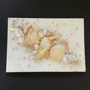 Shell picture