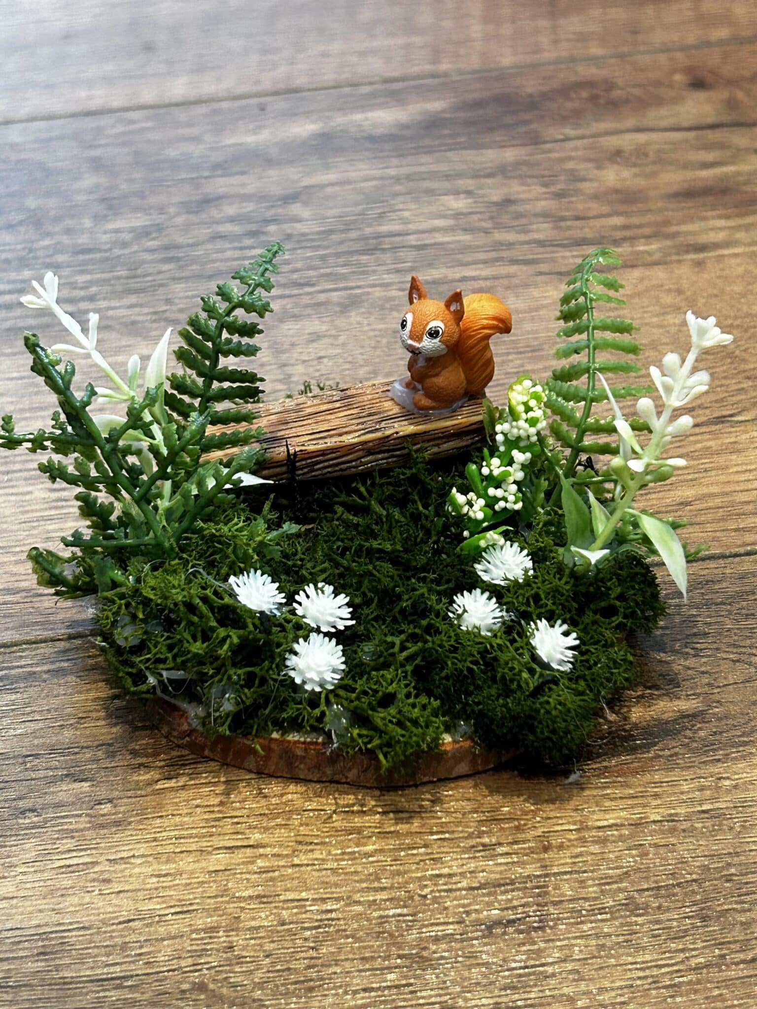 Squirrel Garden - main product image
