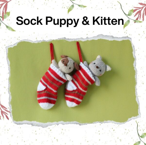 Sock Puppy and Kitten - 1