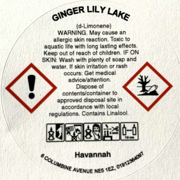 Ginger Lily Lake Essential Oil Blend Tin Candle - product image 6