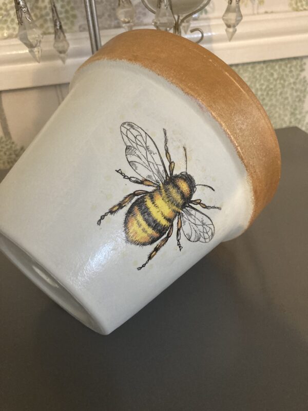 Bee plant pot - product image 4