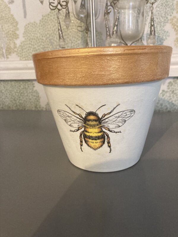 Bee plant pot - product image 3