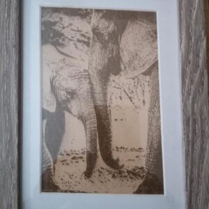 Mother And Baby Elephant