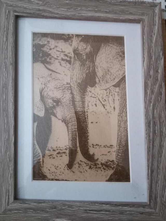 Mother And Baby Elephant - main product image