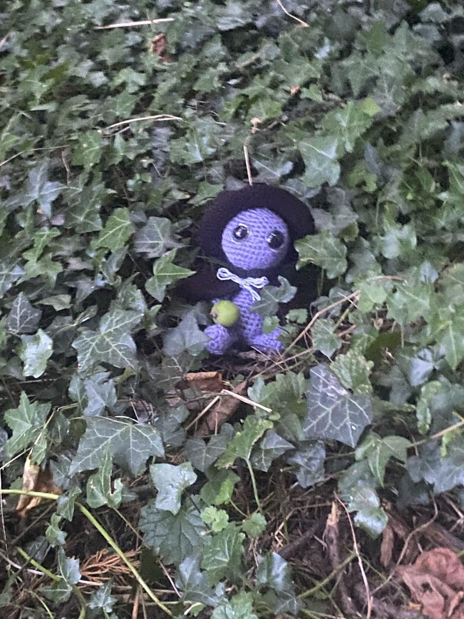 Pansy Witch - main product image