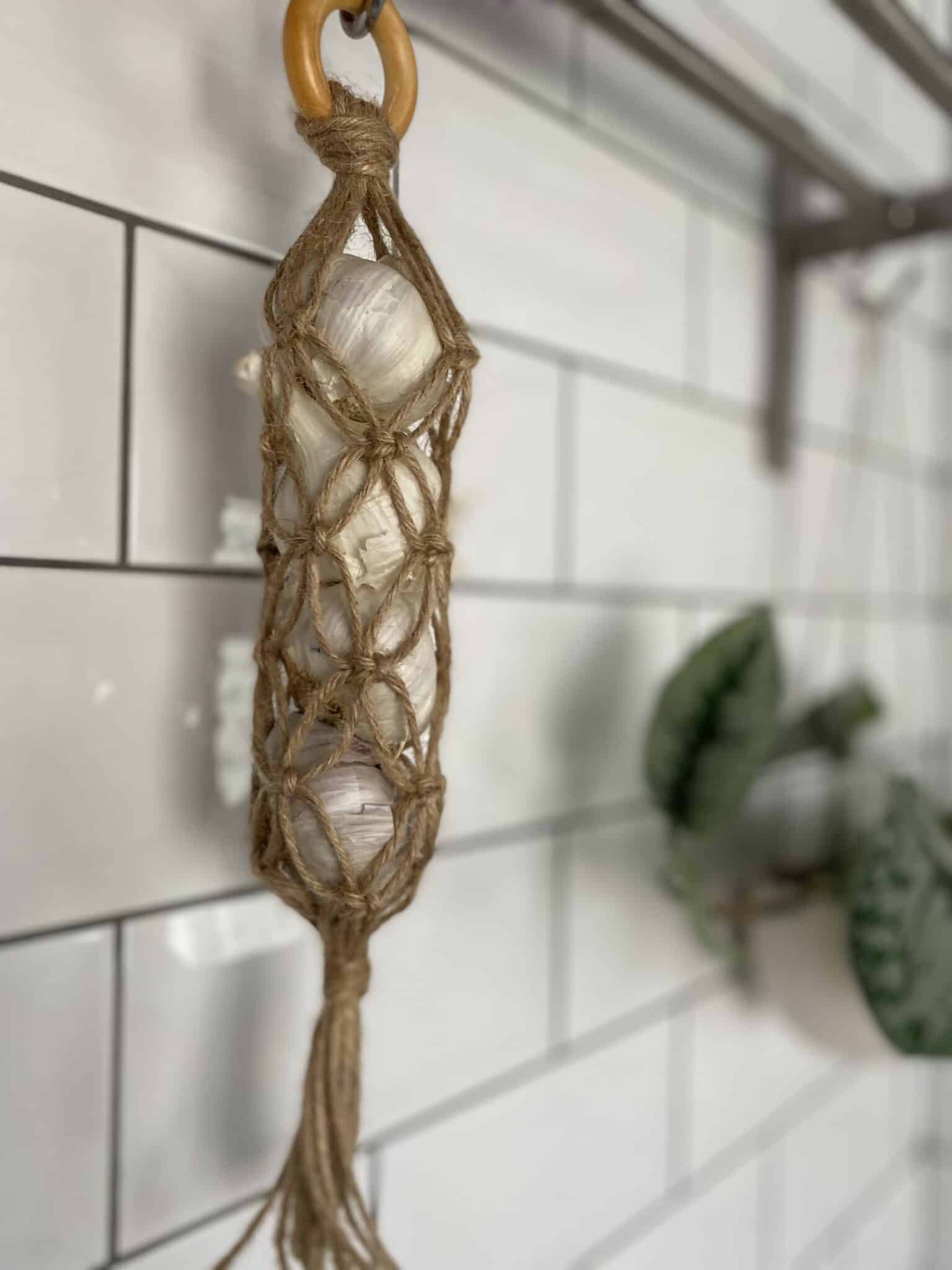 Natural garlic keeper - main product image