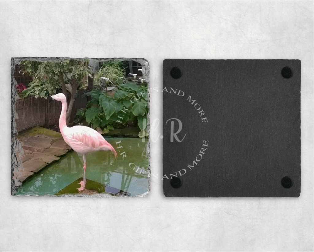 Flamingo Coaster