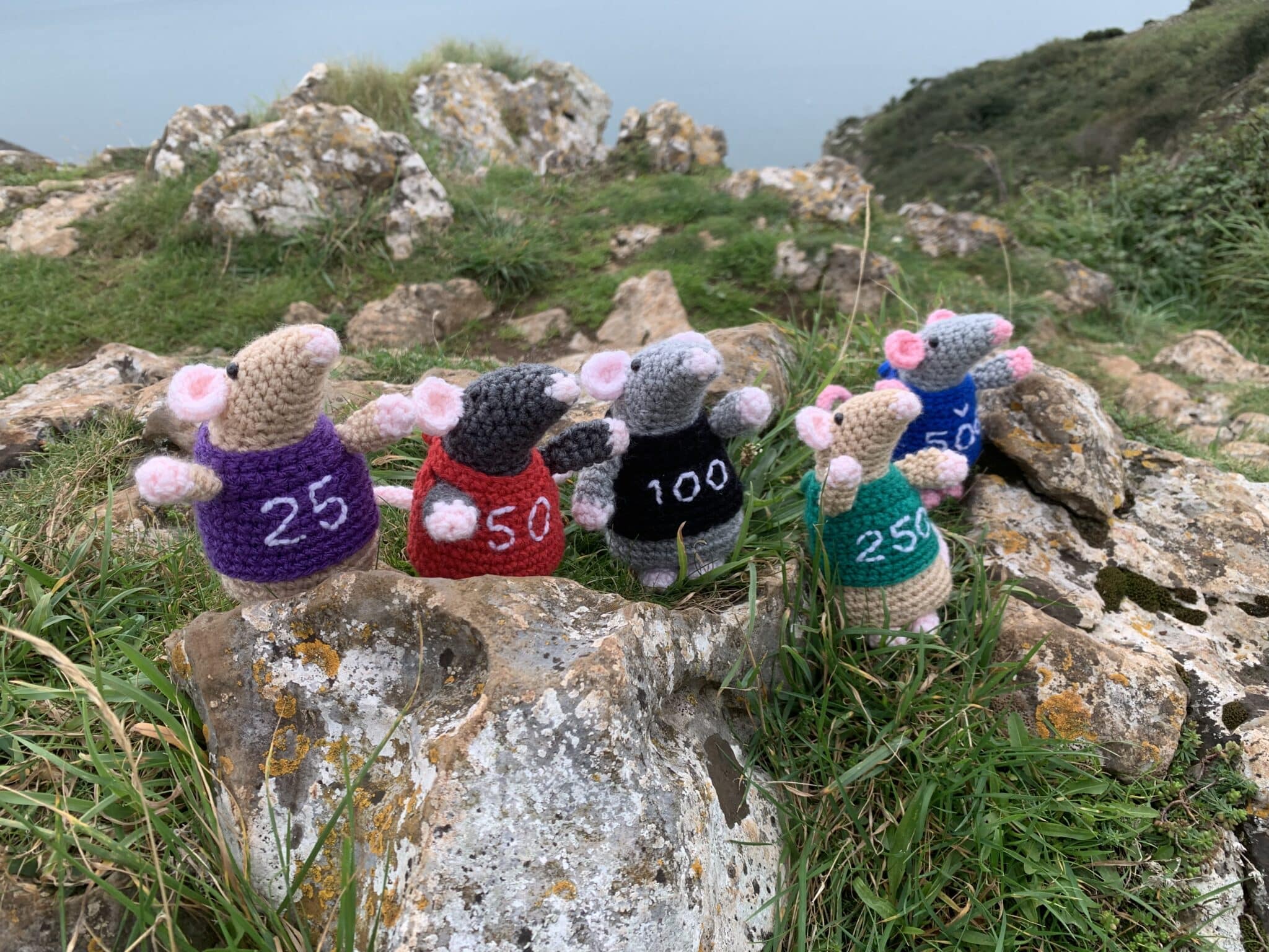 Cosy Crochet Mouse - main product image