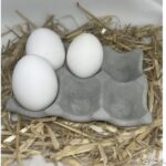 Egg Holder – concrete