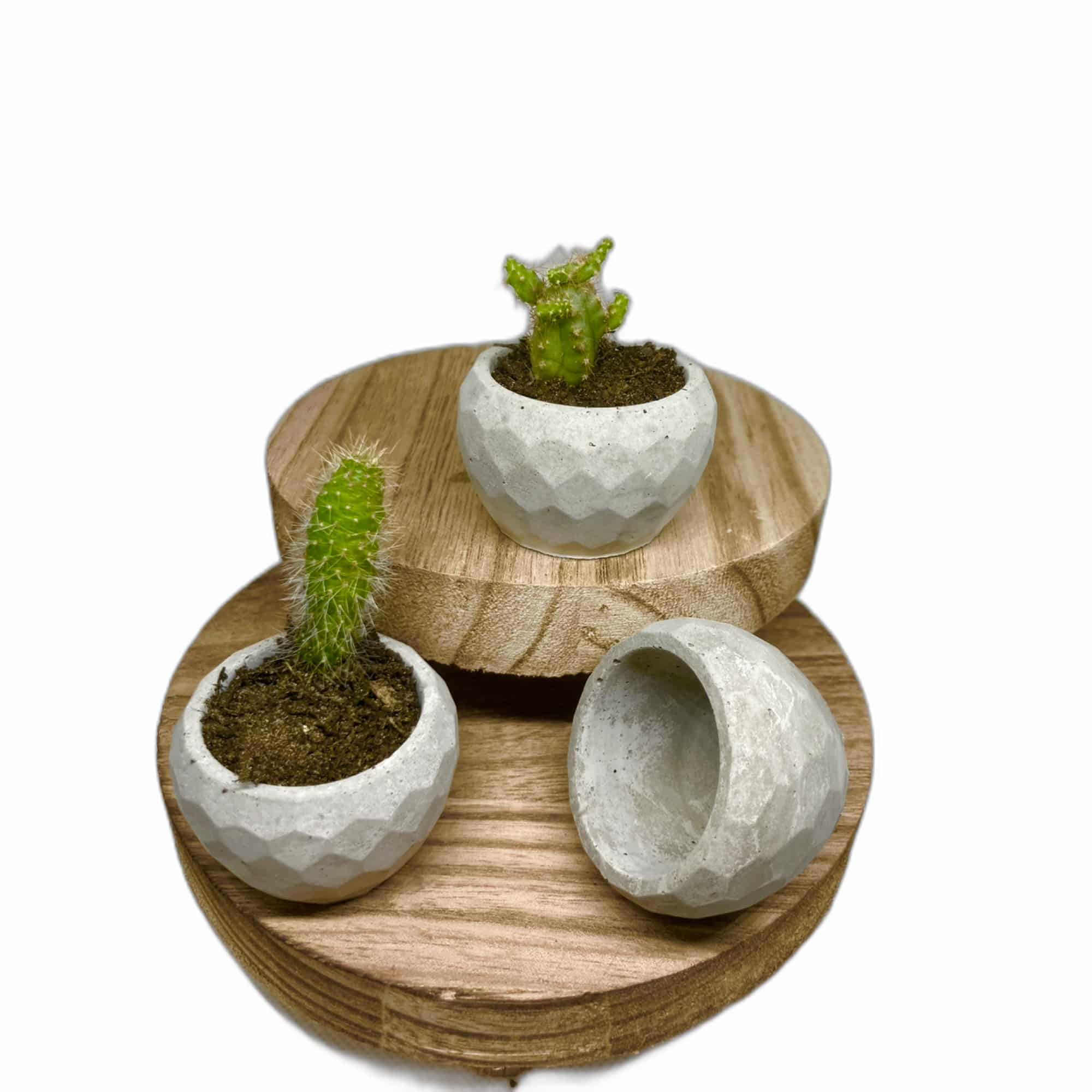 Set of Three Mini Pots - main product image