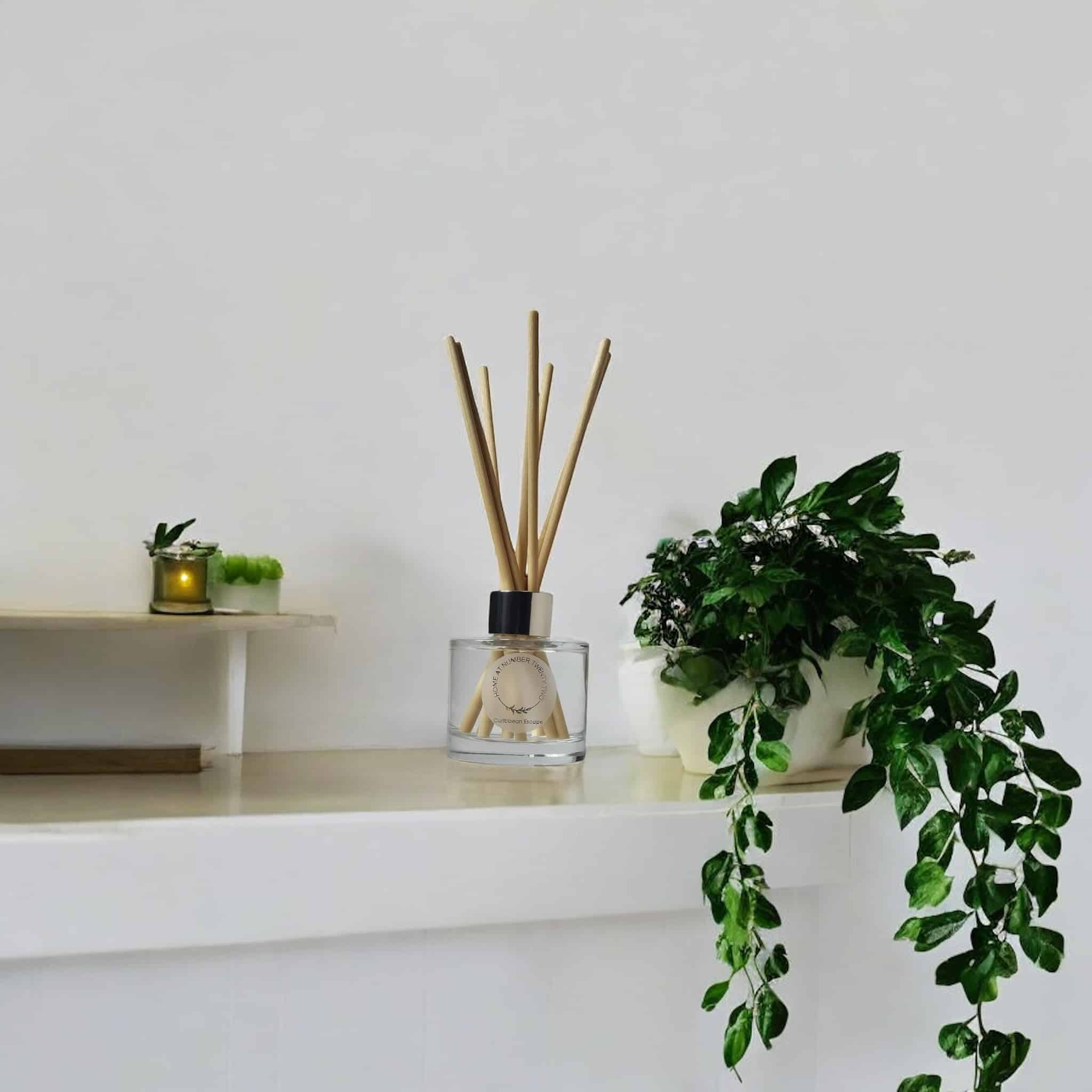 Caribbean Escape Reed Diffuser - main product image