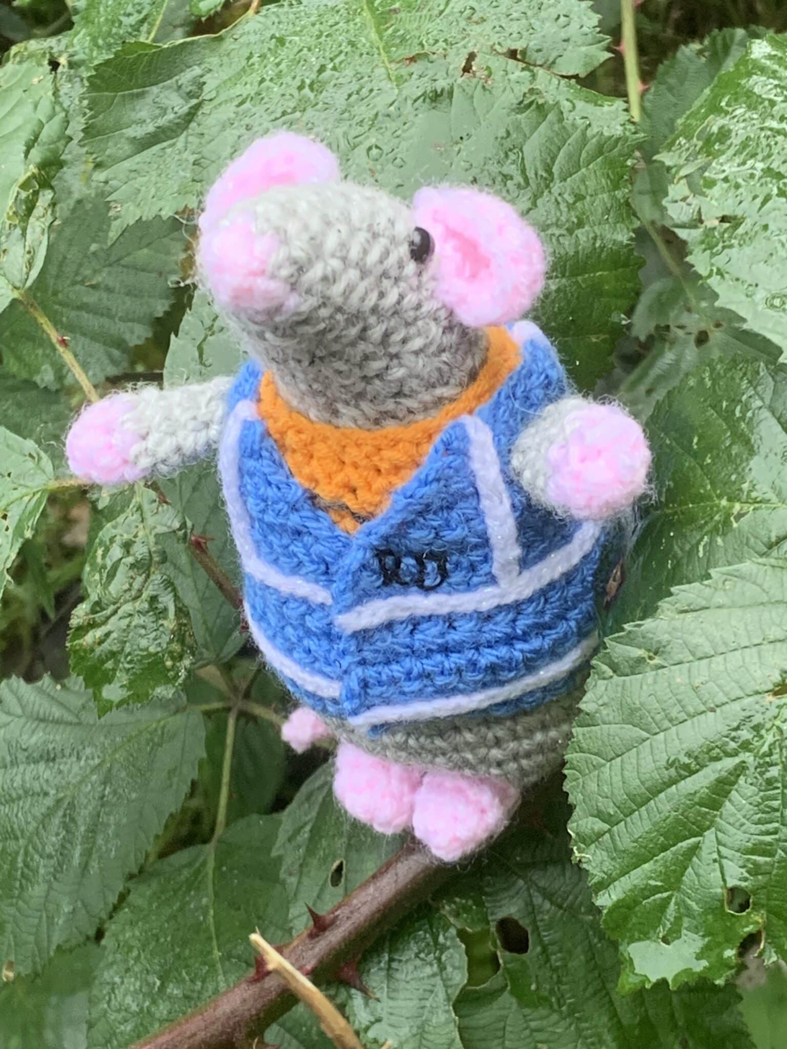 Cosy Mouse with RD vest - main product image