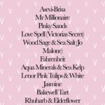 Car Airfreshners double sided