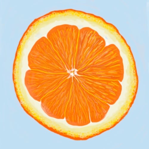 MollyMac shop logo