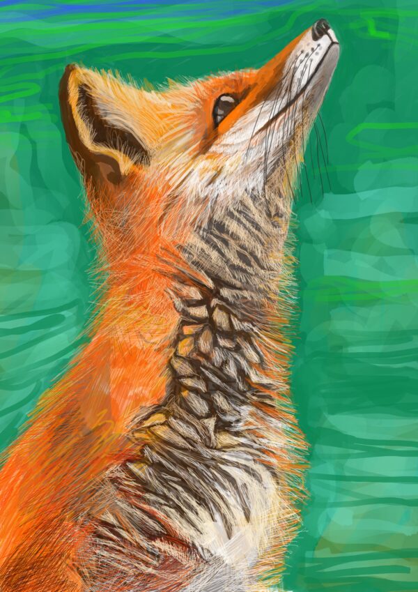 Fox Art Print in various sizes - product image 3