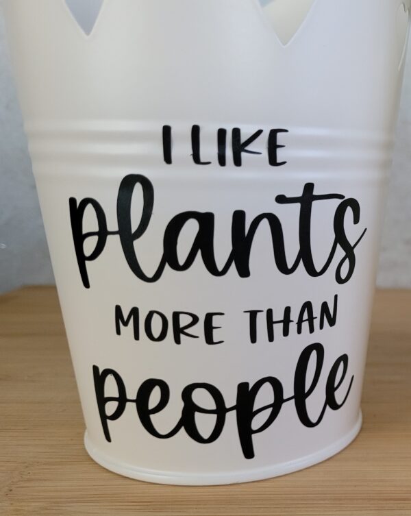 Humorous Plant Pot – Birthday, Gardener, House Gift - main product image