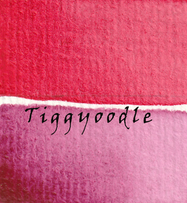 Tiggyoodle shop logo