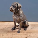 3d Printed Cane Corso Dog
