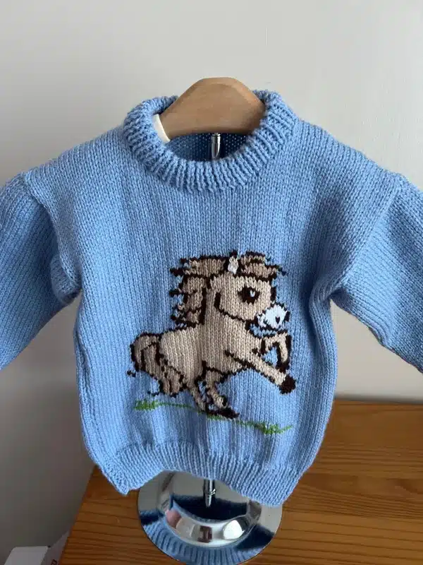 Hand Knitted Sky Blue Pony Jumper – Chest 24″ (approx 2 – 3 years) - main product image