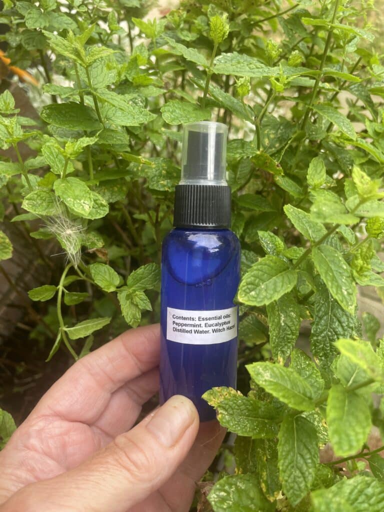 Decongestant Facial Spritz