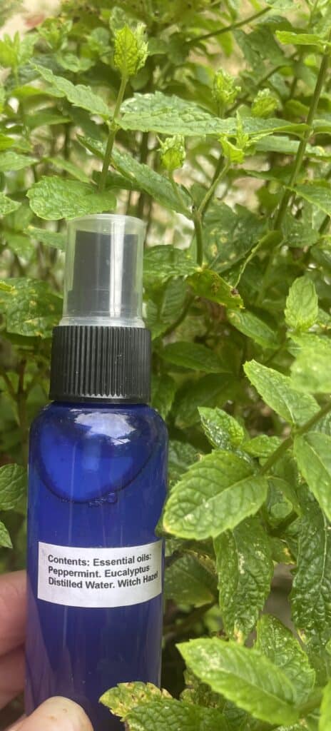 Organic Facial mist spritz