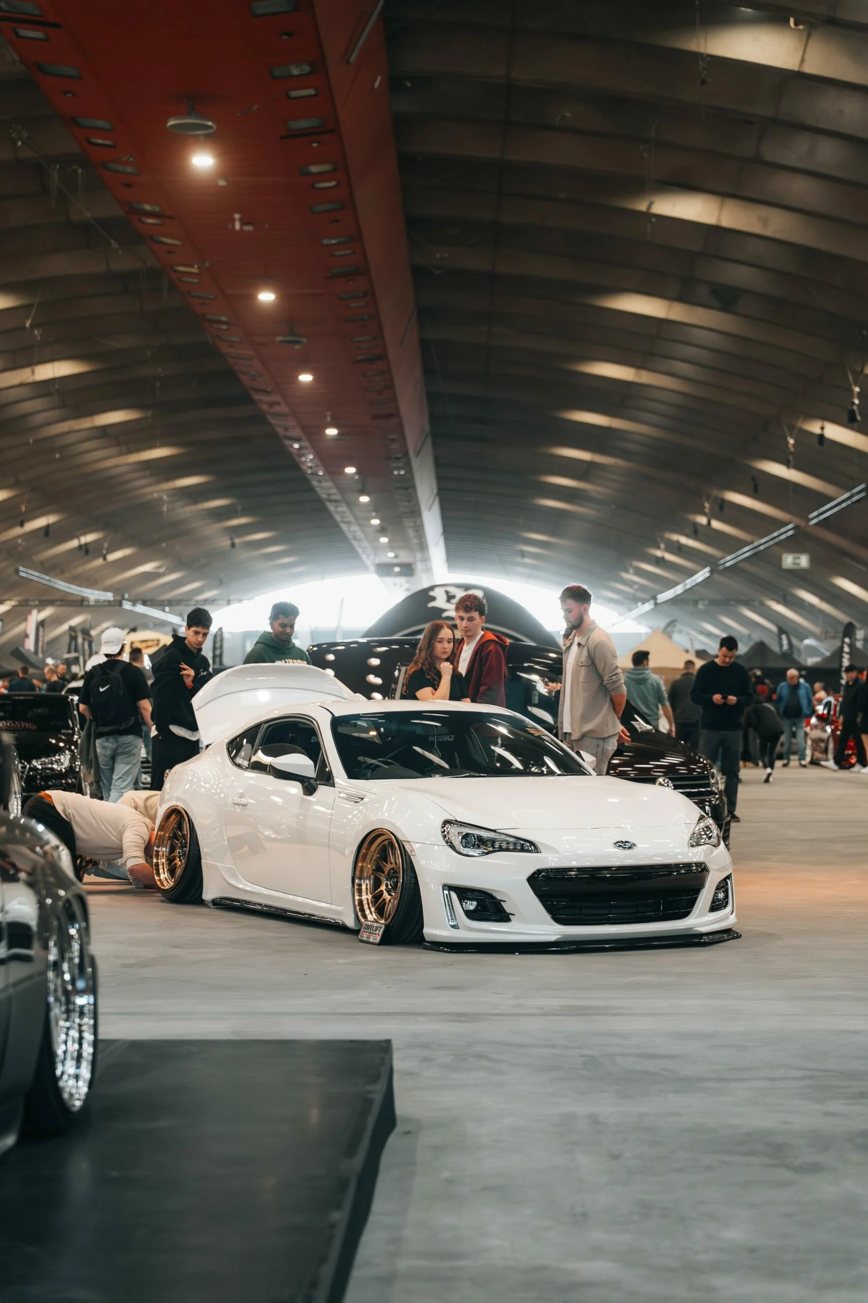 hof26 brz white