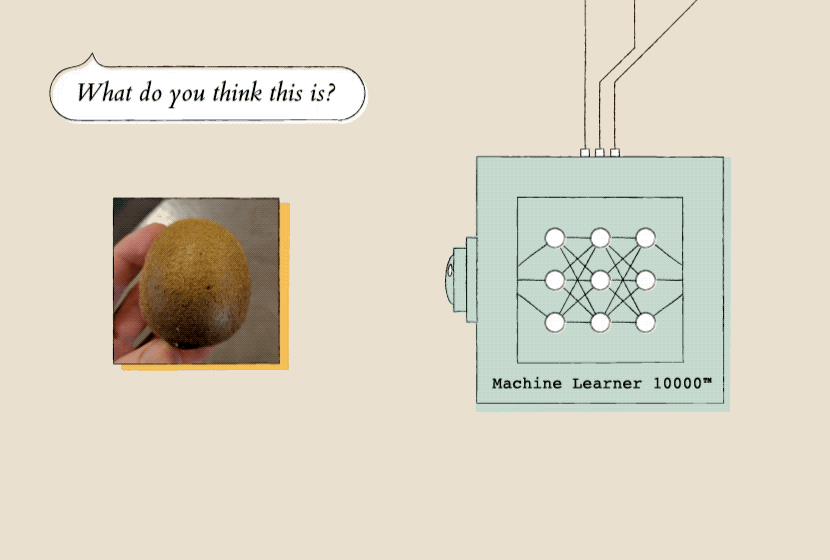 Teachable-Machine_inline_002.gif