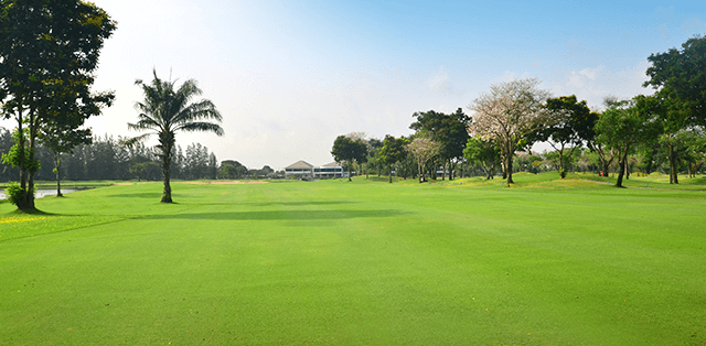 THE ROYAL GOLF & COUNTRY CLUB