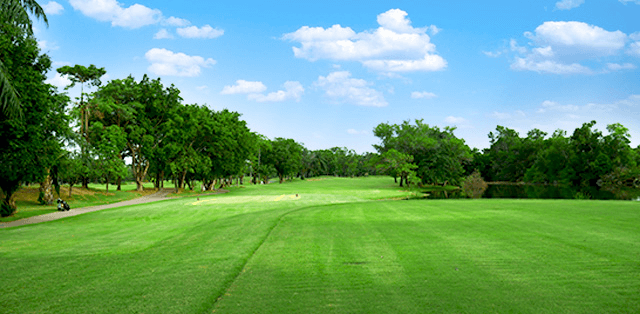 DYNASTY GOLF & COUNTRY CLUB