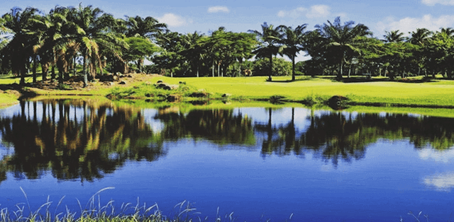 MOUNTAIN SHADOW GOLF CLUB