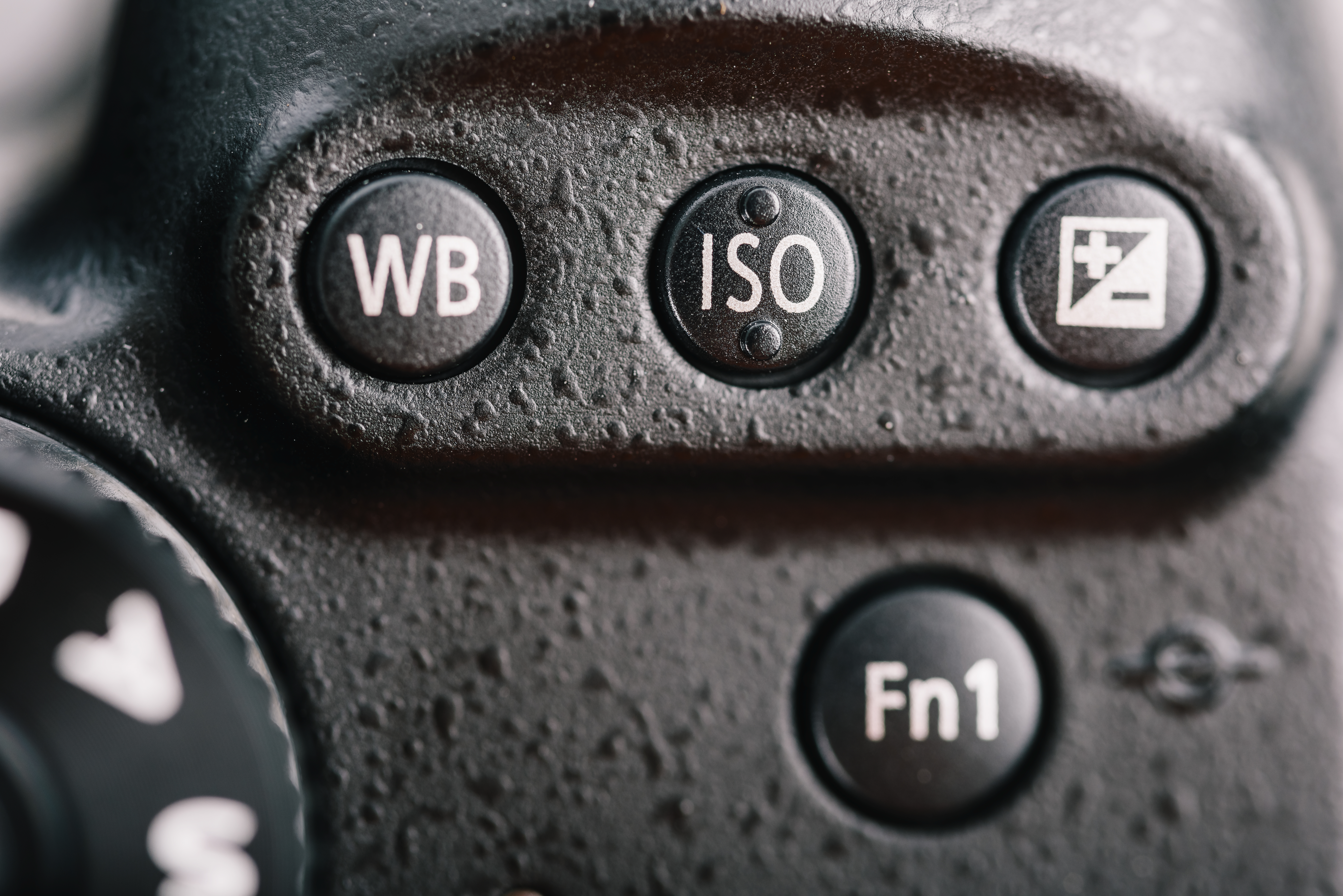 ISO setting button - clearly labeled on most cameras