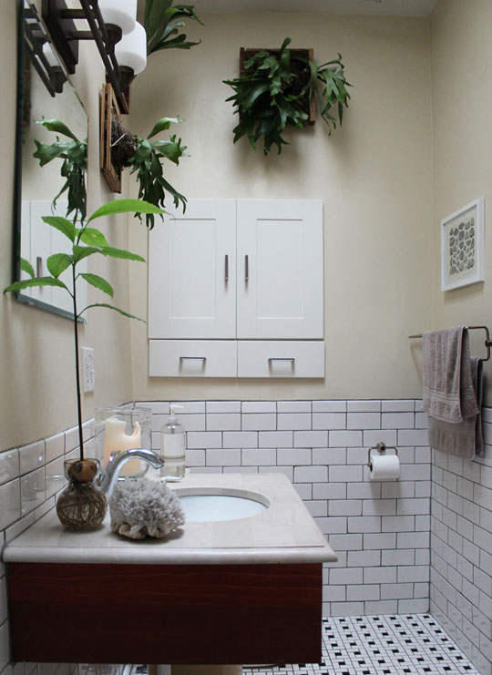 Plants In The Bathroom Inspiration From Our House Tours Apartment Plants In The Bathroom Inspiration From Our House Tours Apartment Therapy