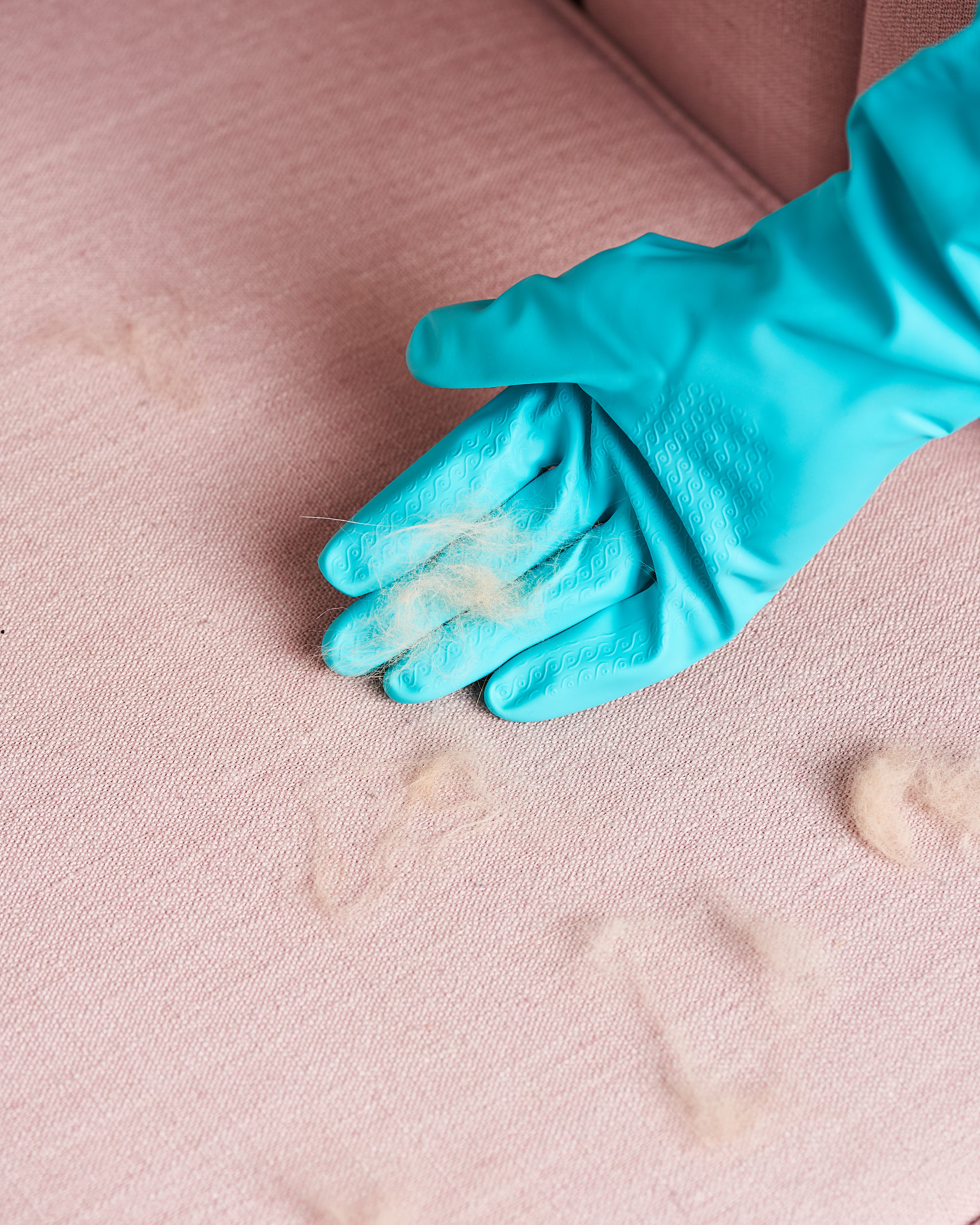 How To Remove Pet Hair From Furniture Floors More Apartment Therapy