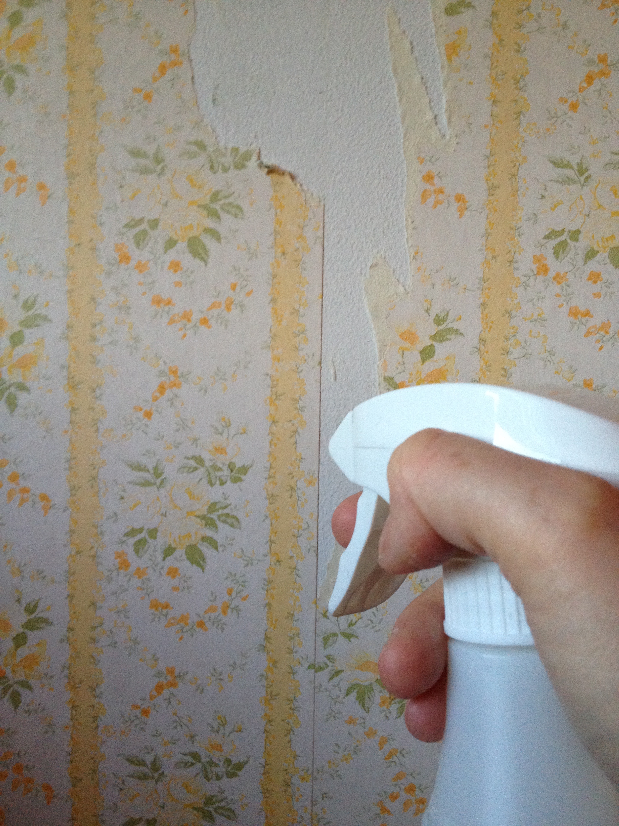 how to remove wall paper glue