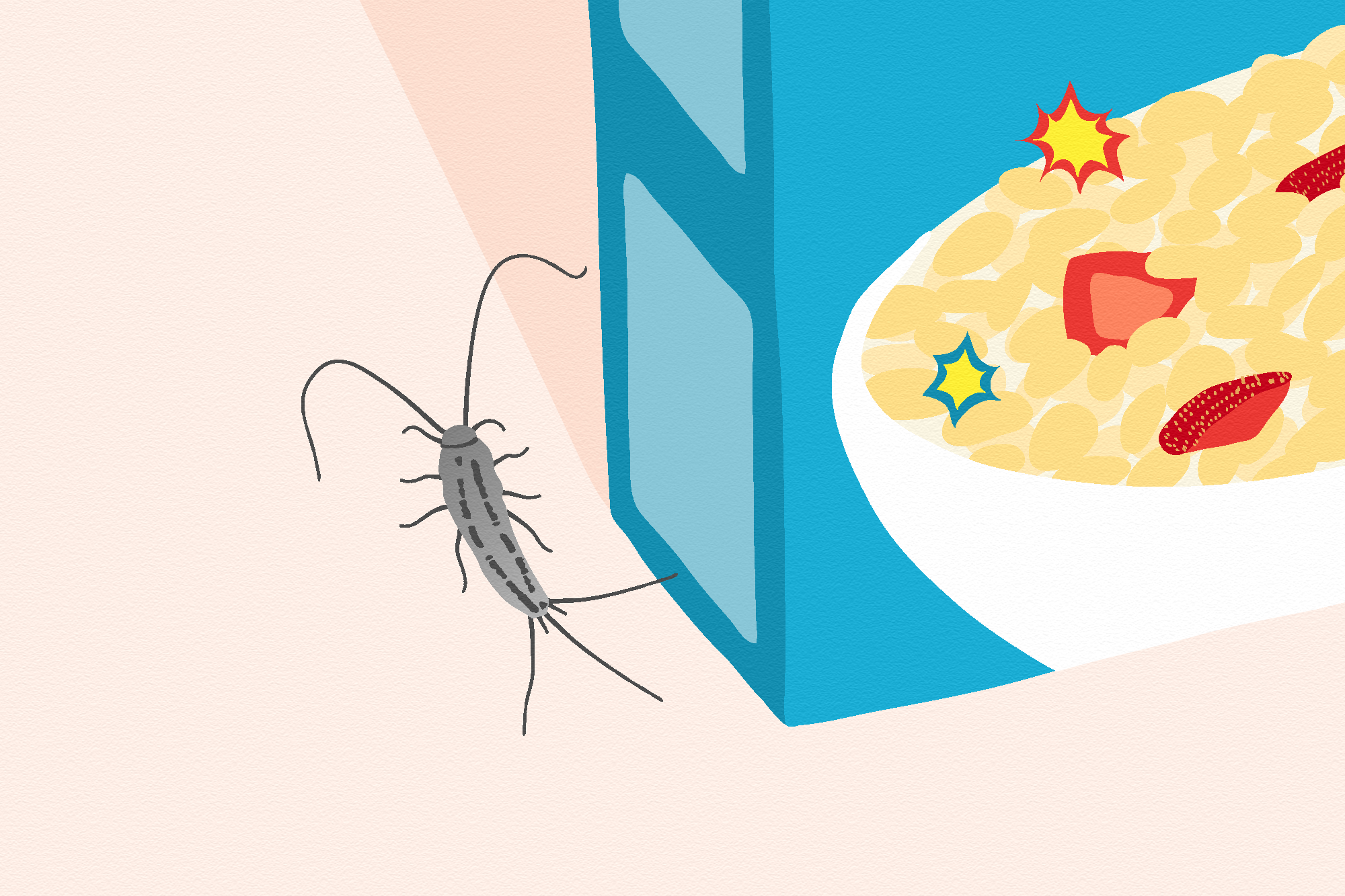 How To Get Rid Of Silverfish Apartment Therapy