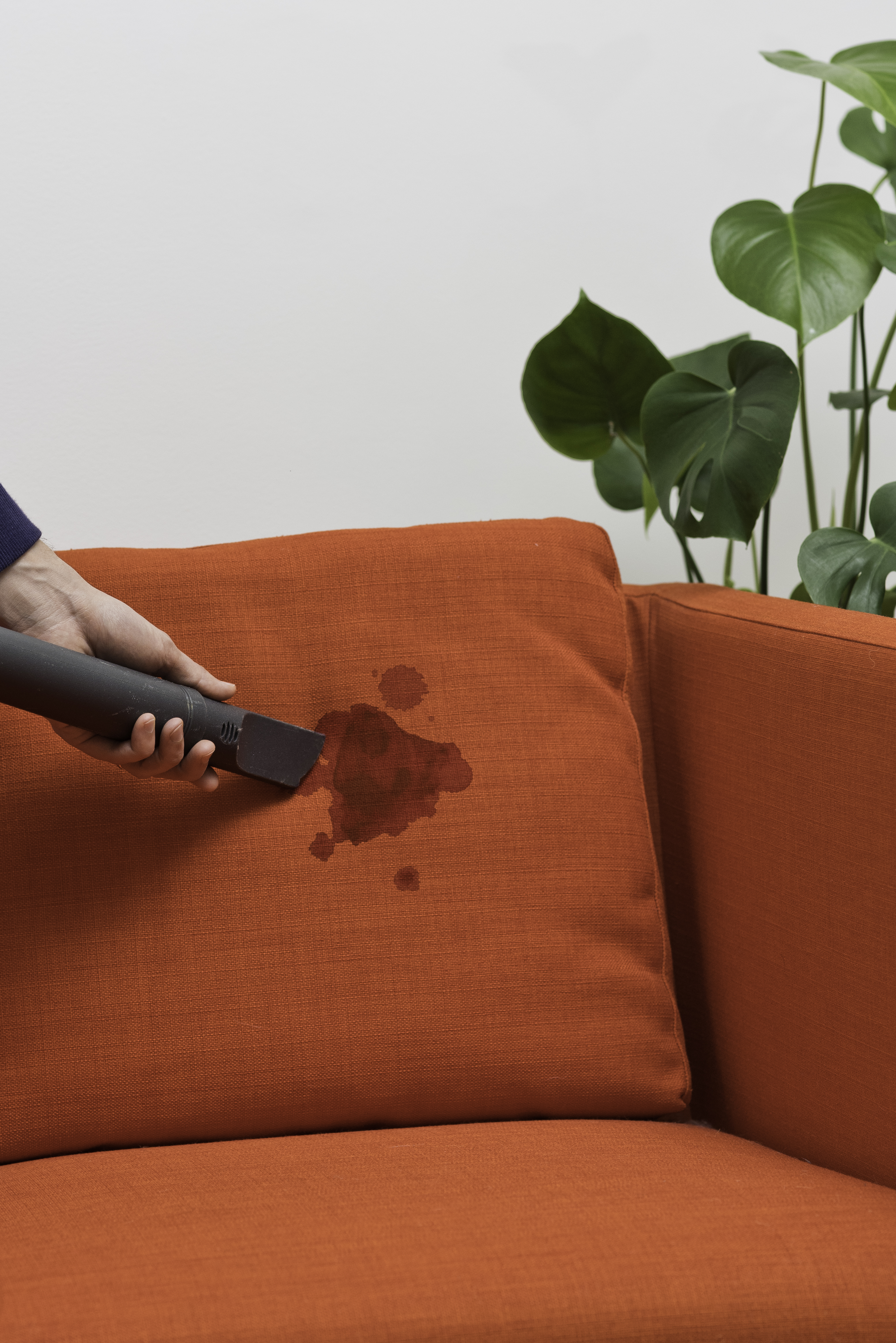 How To Clean Upholstery Couch Stains Remove Couch