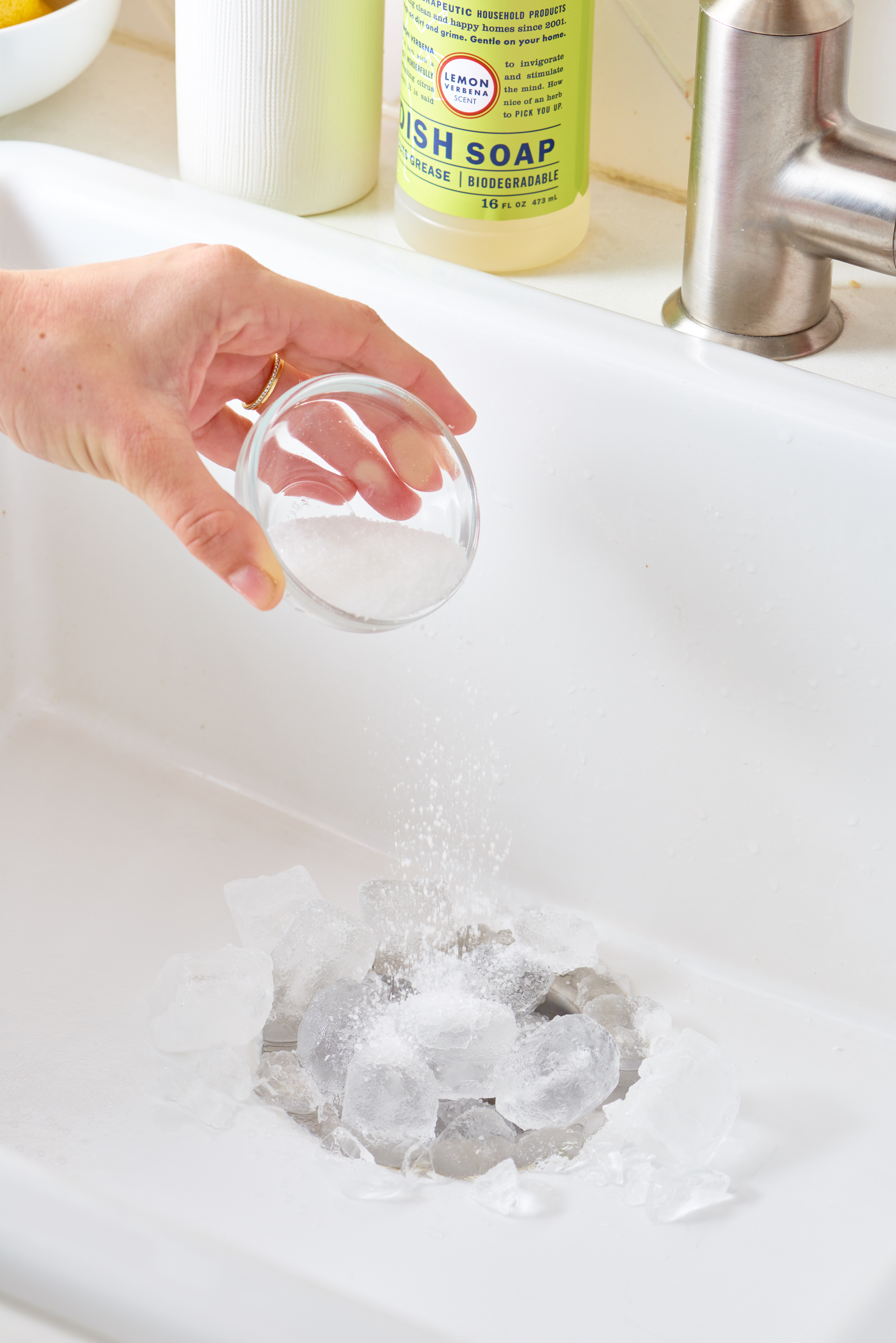 How To Clean Your Kitchen Sink Disposal Apartment Therapy