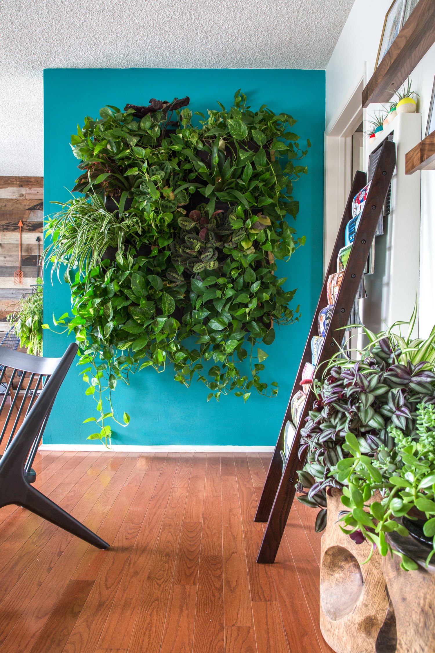 how to make an indoor wall garden