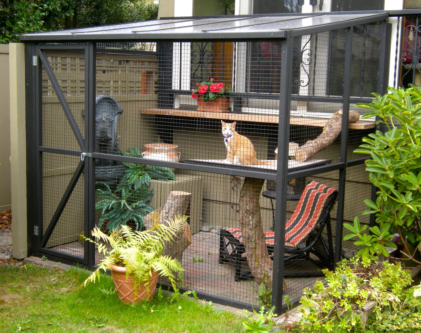 A Catio Is The Coolest Thing You Never Knew Your Cat Needed A Catio Is The Coolest Thing You Never Knew Your Cat Needed Apartment Therapy