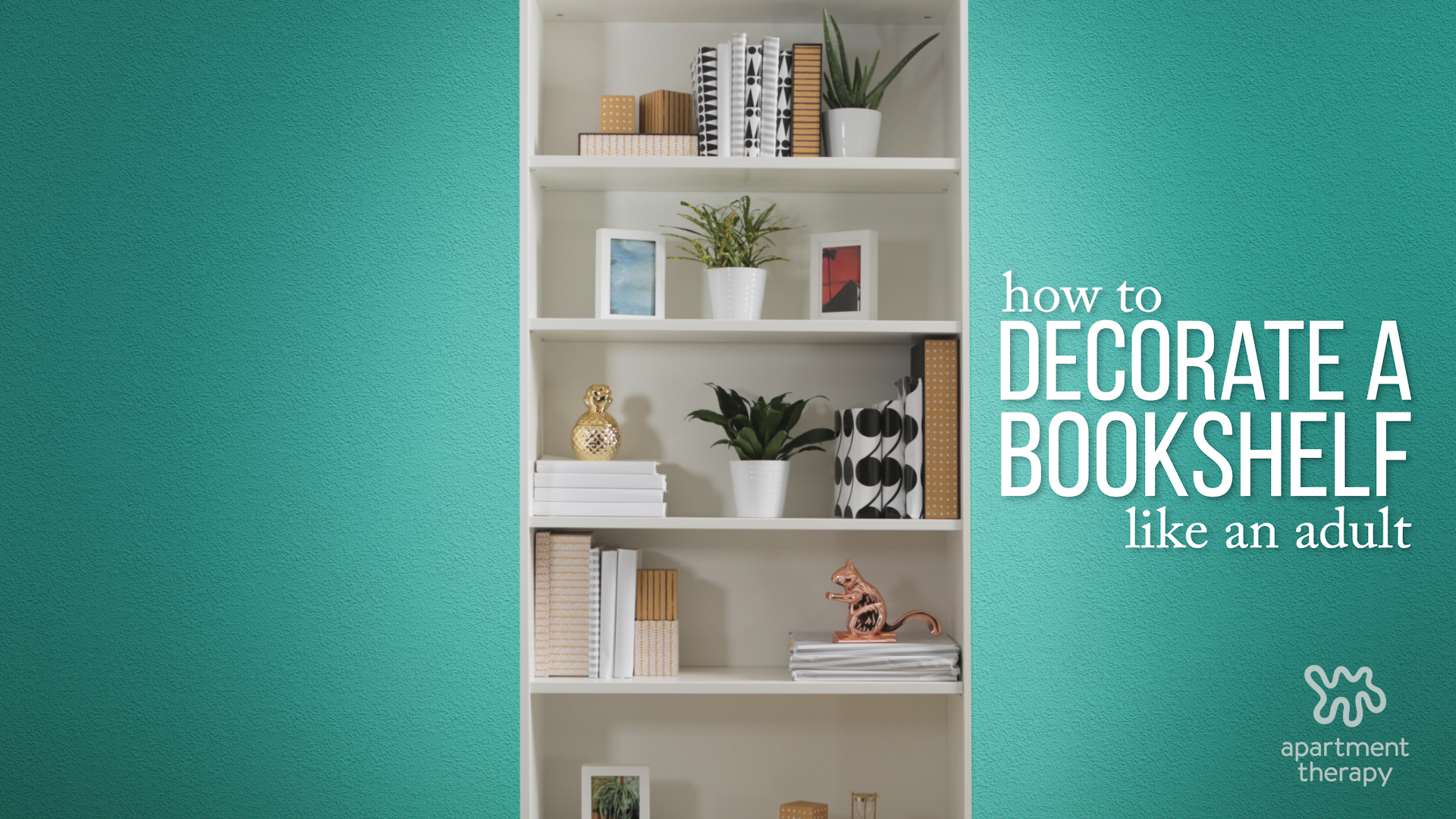 How To Decorate Your Bookcase Like A Pro Apartment Therapy