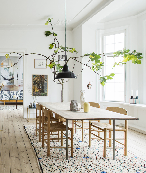 Large Indoor Trees That Make A Bold Statement Apartment Therapy