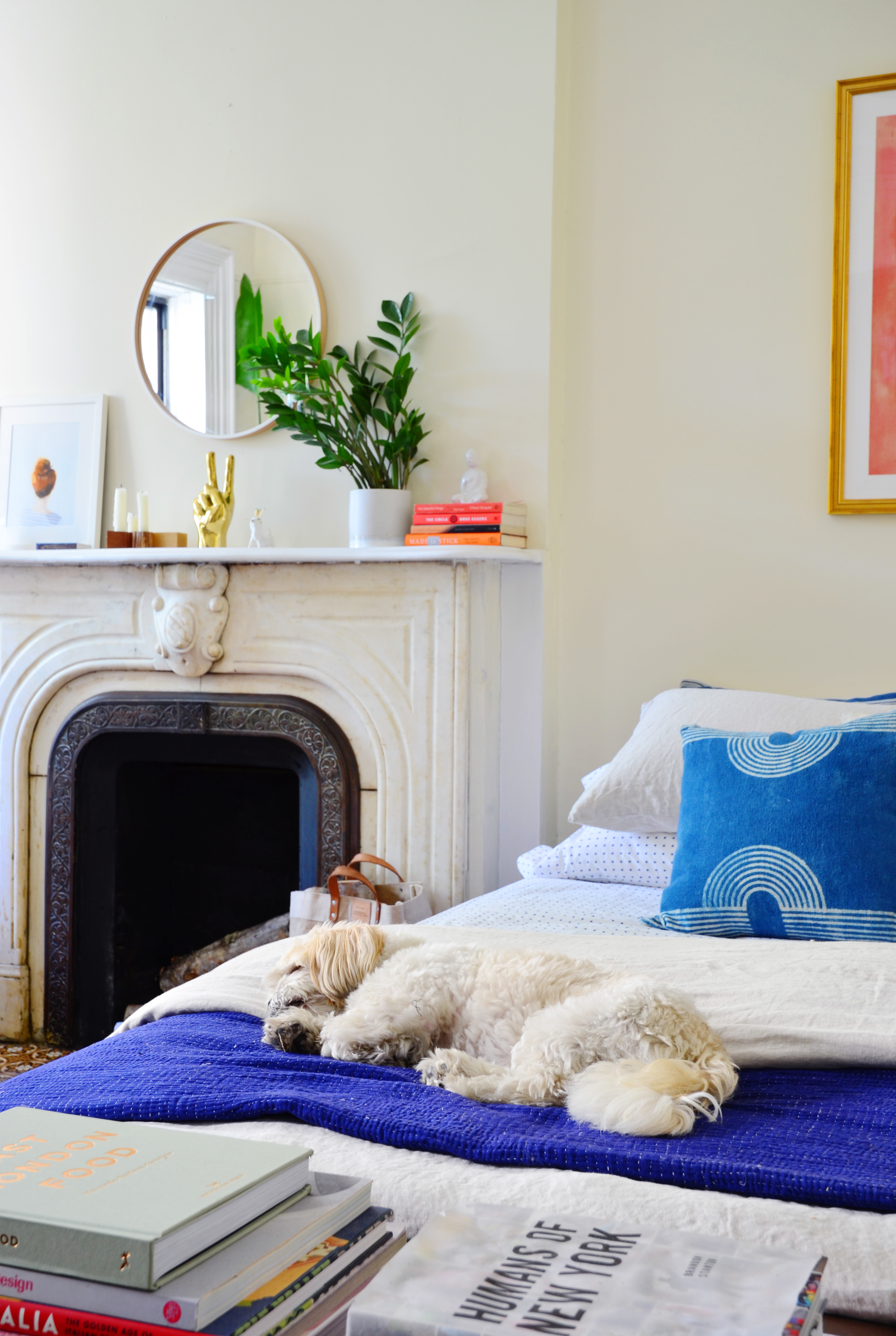 Guide To Dealing With Dog Odors In A Small Space Home
