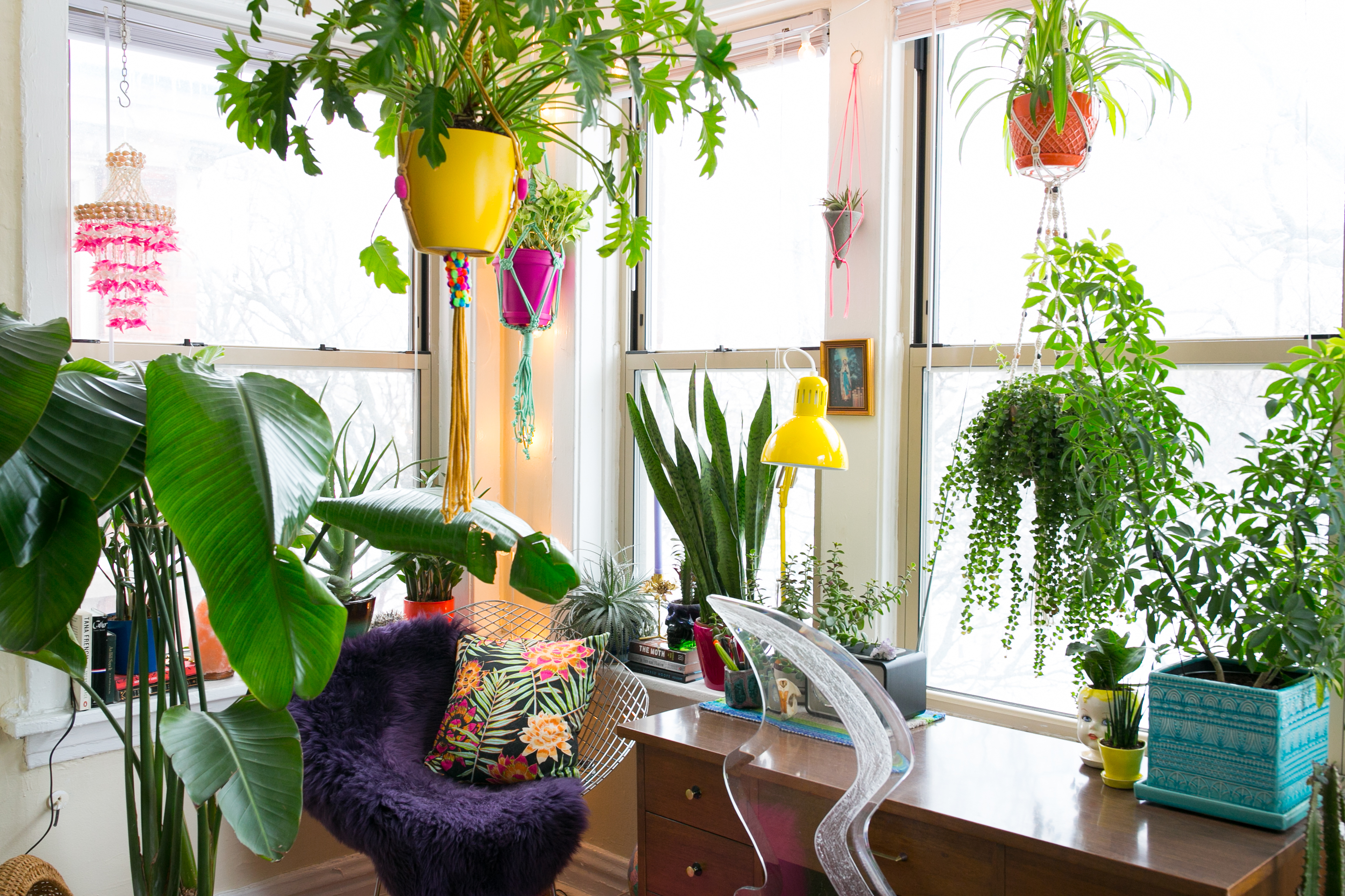 IKEA Hacks for Plants - Plant Stands, Terrariums | Apartment Therapy