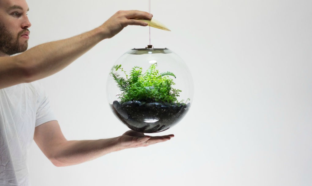 These New Terrarium Globes Are Also Pendant Lights